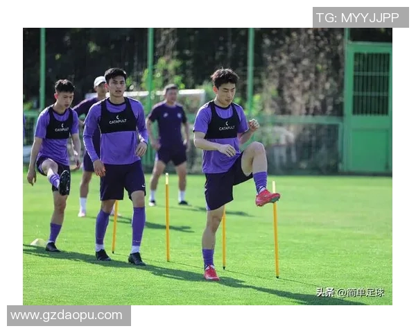 新秀与年轻球员的崛起之路：探索他们在球队中的重要角色与未来潜力