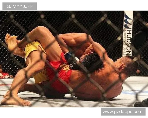 杨建平勇战日本拳王挑战极限展现中国拳击实力与风采