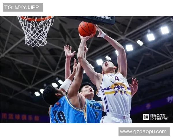 杭州排球队战术变革引发热议助力球队崛起与发展MBA