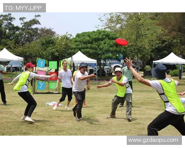 上海飞盘队运营革新探索：从团队建设到市场推广的全新路径分析