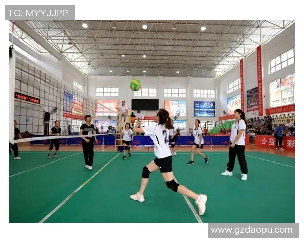 排球盛宴：深入探索杭州排球队背后的力量与荣耀