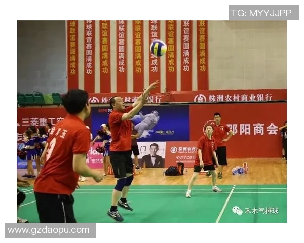 杭州排球队心理素质分析与提升策略探讨