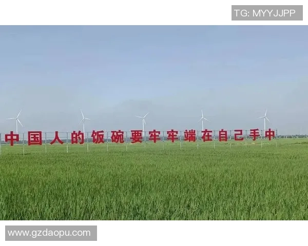 代怀博的崛起与挑战:探索新时代下的商业模式与社会影响 代怀博的崛起与挑战:探索新时代下的商业模式与社会影响